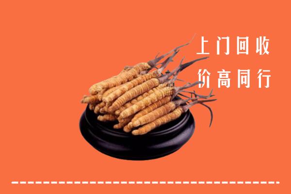 梧州回收冬虫夏草