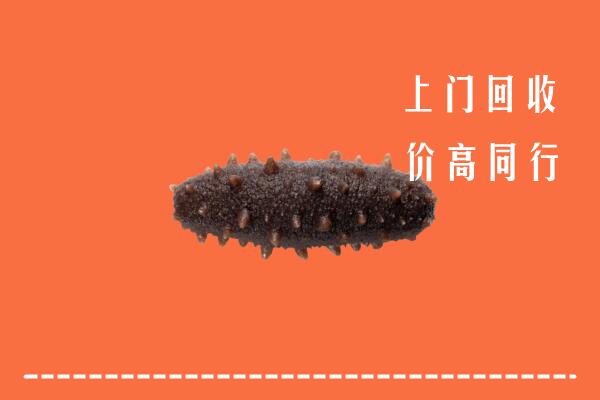 梧州回收海参